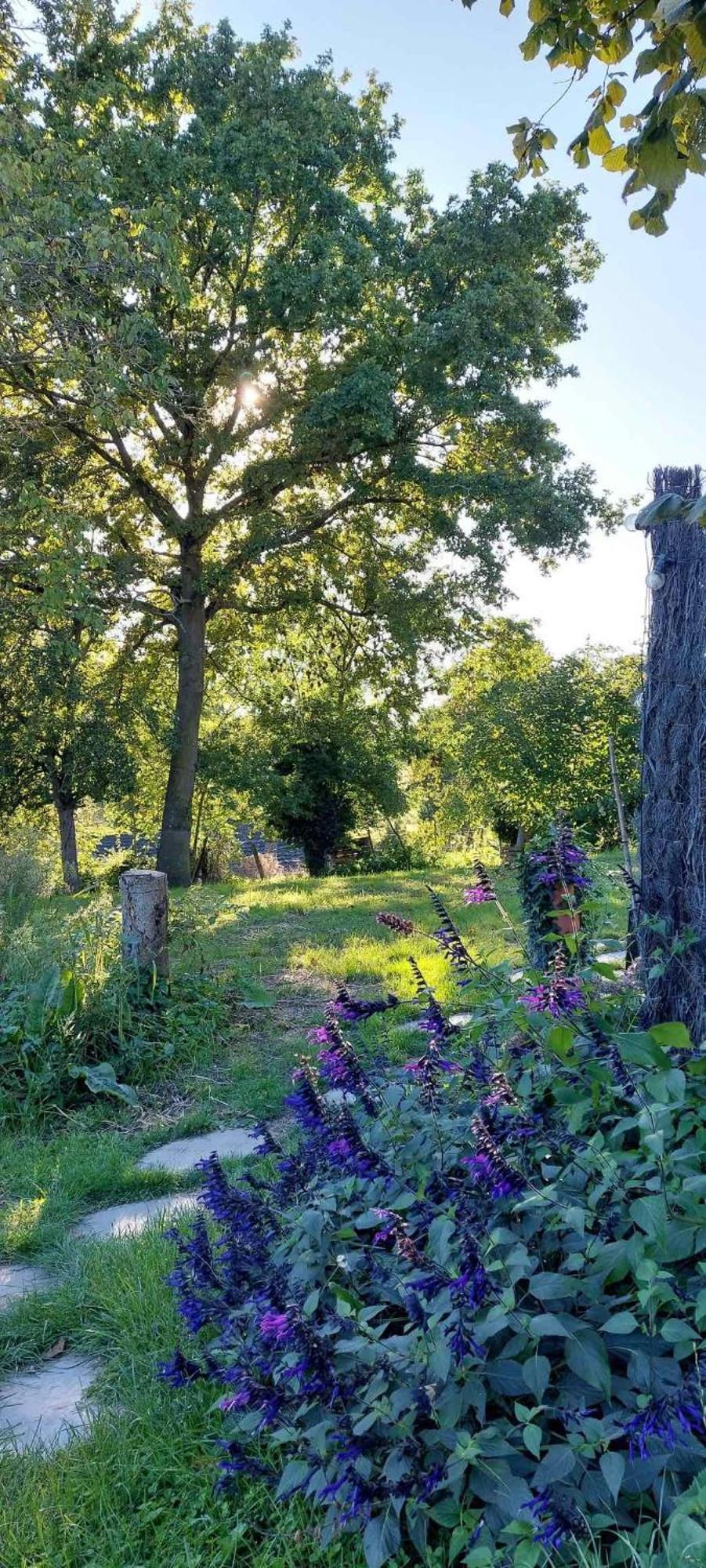 Boerderaaj Vakantiewoning Bilzen Esterno foto